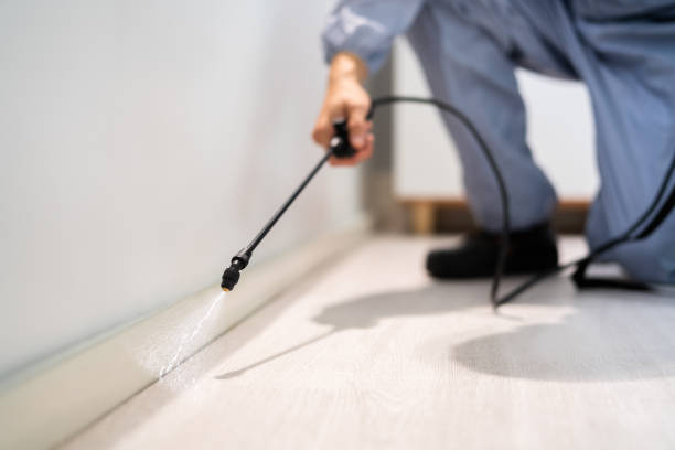 Bed Bug Pre-Treatment Preparation Assessment in East Lansing
