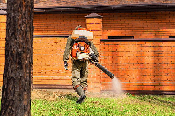 Bed Bug Clearance Verification and Documentation in East Lansing